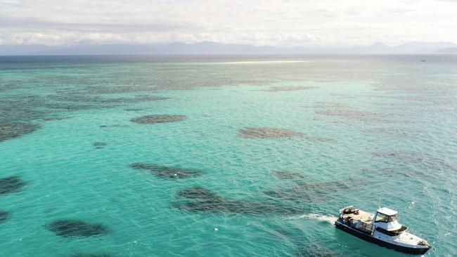 The missing 26-year-old was seen at Sudbury Reef near Fitzroy Island off the Cairns coast.