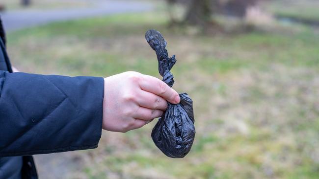 There is an argument that bin owners should be thankful that dog owners have taken the time to clean up after their pooch. (File picture: istock image).