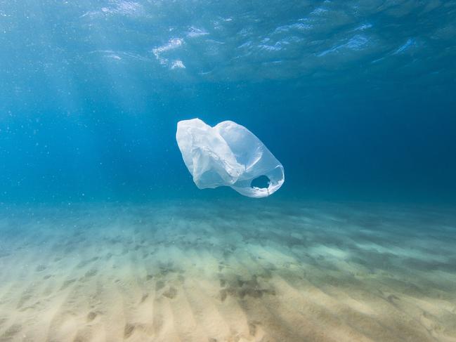 Plastic bag ban benefits ‘over-estimated’