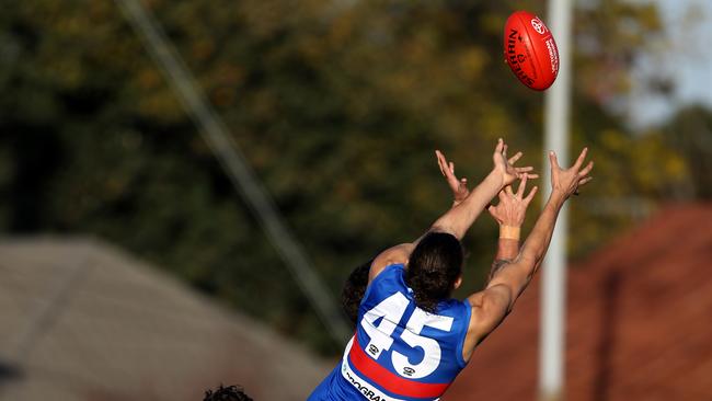 Tristan Tweedie flies for a mark for Footscray in 2017. Picture: Mark Dadswell