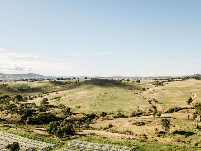 Wallaroo in NSW. Picture: Visit Yass Valley