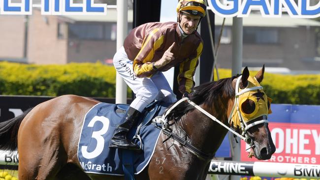 Tavago impressed in the Sky High Stakes and will be even better at 2400m.