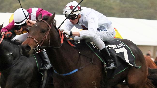 Blueberry Hill returned to winning form at Ipswich last start. Picture: Grant Peters
