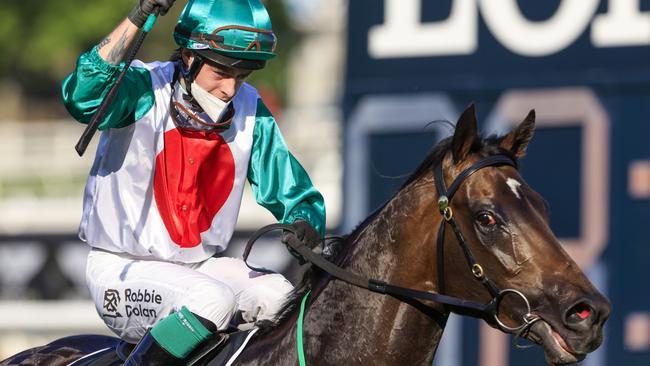 Robbie Dolan (pictured) rode Le Vizir to an impressive win last start and rides the gelding again on Wednesday. Picture: Getty Images