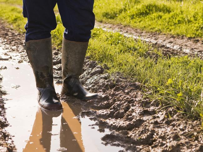 Person wearing boots in muddy path gumboots farmer rain Thinkstock