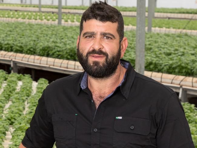 Growing herbs and vegetables with the smallest carbon footprints and fewest food miles makes dollars and sense for farmer Damien Manno of Quality Harvest at Kudla in South Australia. MUST CREDIT: Ausveg