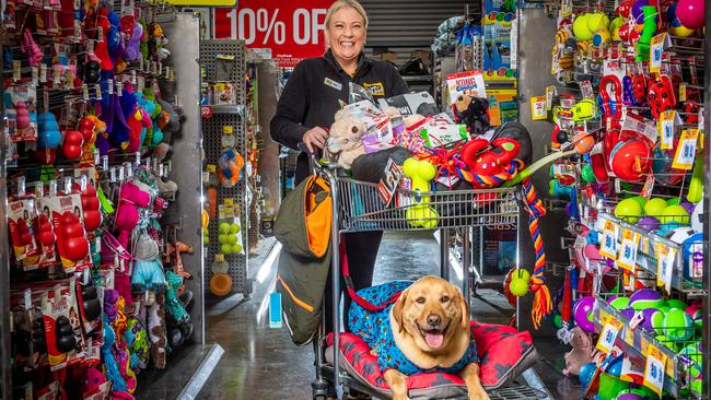 Rowville store manager for My Pet Warehouse, Bec Heywood, fills an online shopping order with Archie. Picture: Jake Nowakowski