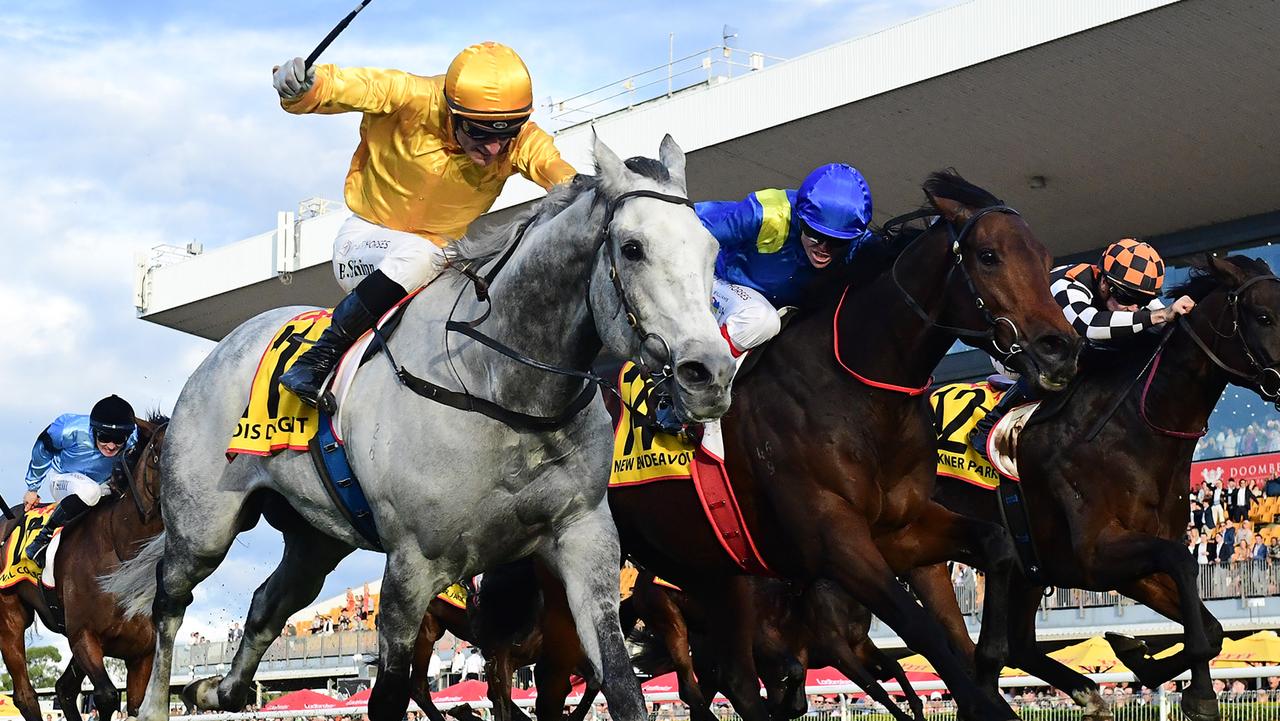 ‘Getting on at right time’: Bayliss bullish about import at Gosford
