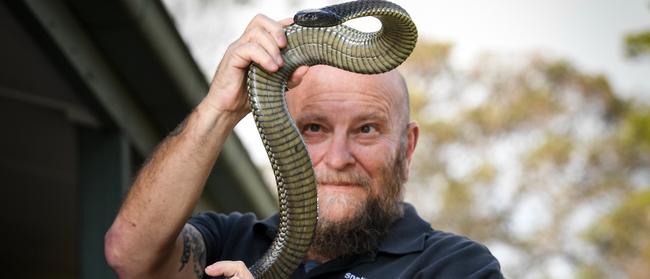 Snake catcher Barry Goldsmith wrangles George the tiger snake. Picture: Penny Stephens