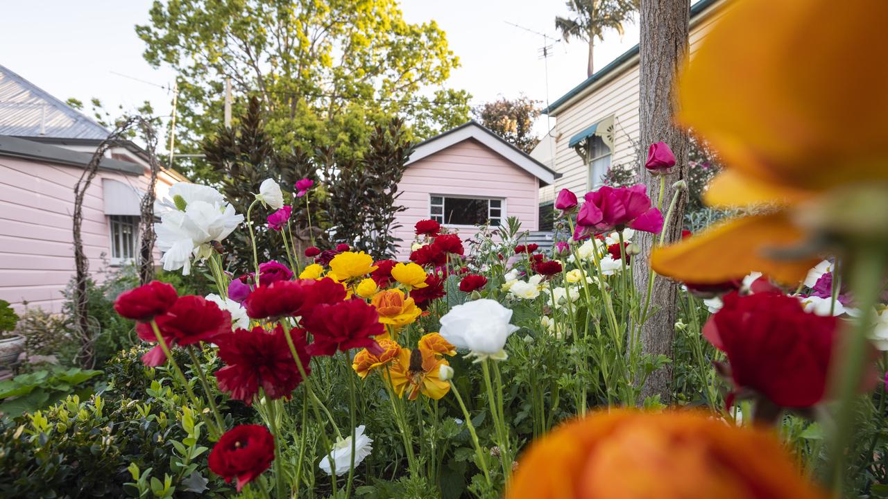 Norwood Roses, Caitlyn Mason and Sam Clothier, Norwood St, Garden for Good 2020, Carnival of Flowers 2020, Tuesday, September 15, 2020. Picture: Kevin Farmer