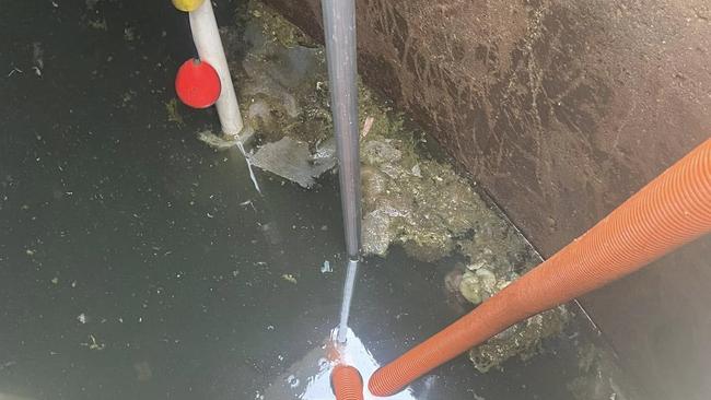 The contaminated water inside of the residential water tank that the kangaroo was retrieved from.