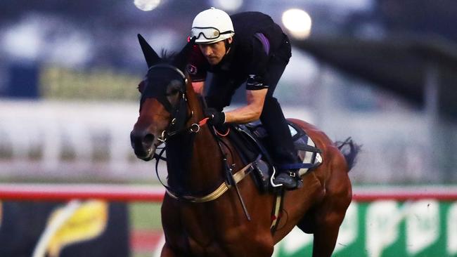 Arcadia Queen continues to firm in betting for The TAB Everest. Picture: Getty Images