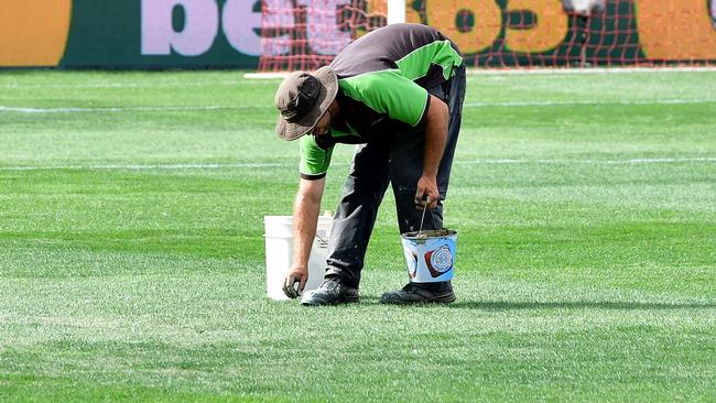 John Kosmina: Hindmarsh Stadium pitch another reminder of government ...