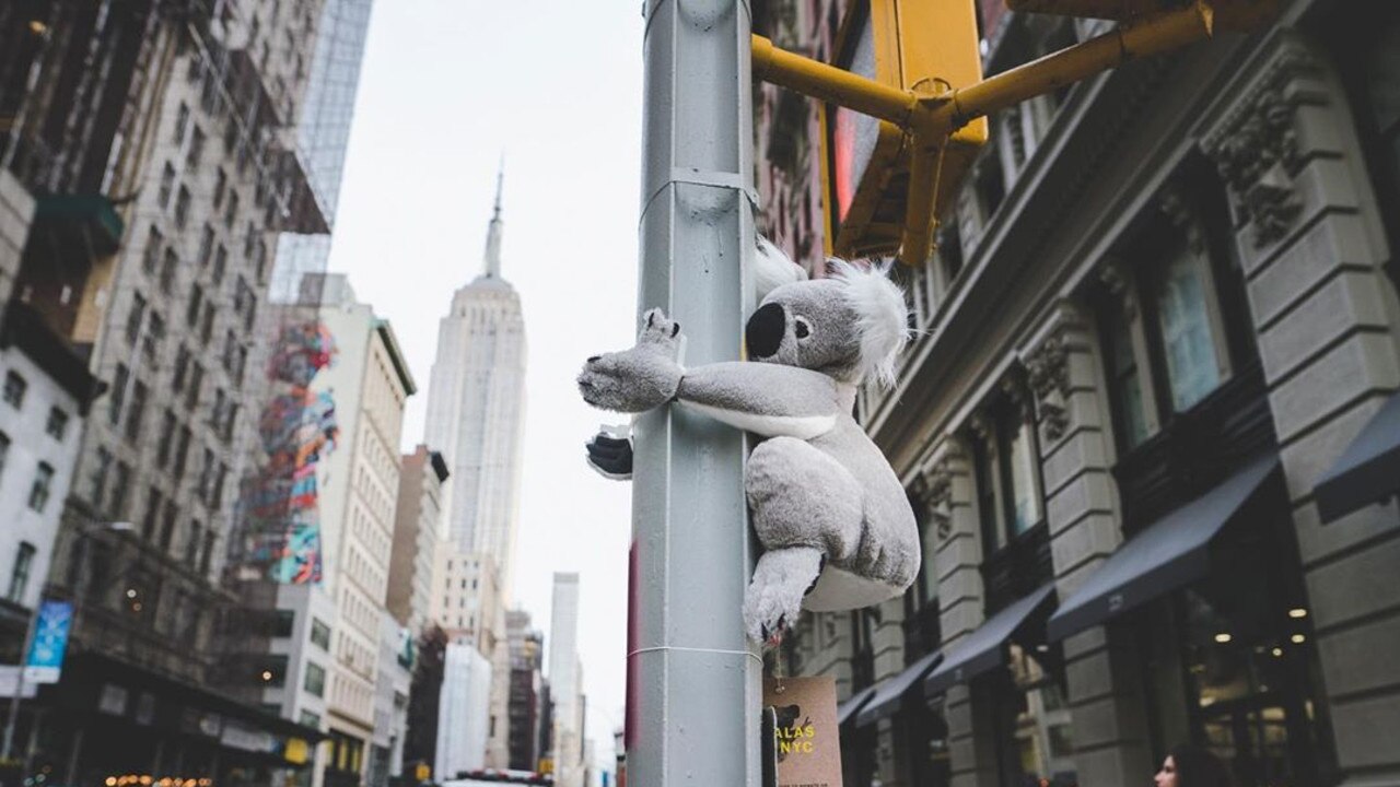 Balenciaga Hello Kitty Phone Holders & Bags Now Available, You Can Also Buy  Charity Koala Apparel To Help Australia's Bushfires 