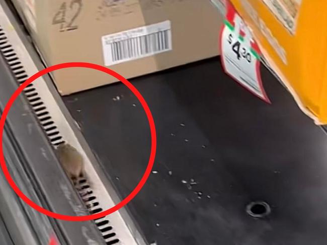 Gross find on Woolworths store shelf