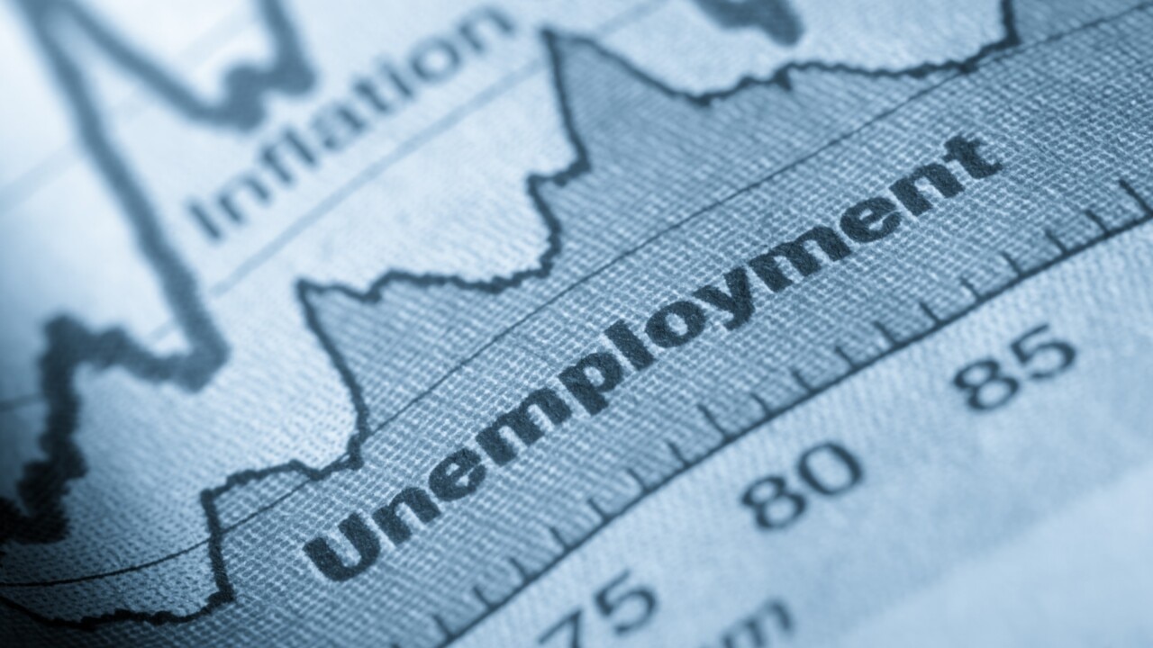 ‘Reasonably resilient’ Unemployment rate rise in 2024 expected to be