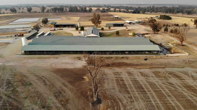 Dairy farm Callara near Gooloogong in the central west of NSW. The dry and dusty paddocks show how the drought is having an effect. Picture: Toby Zerna