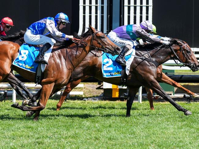 Hayasugi ridden by Jamie Kah wins the Sportsbet Blue Diamond Prelude (F) at Caulfield Racecourse on February 10, 2024 in Caulfield, Australia. (Photo by Scott Barbour/Racing Photos via Getty Images)