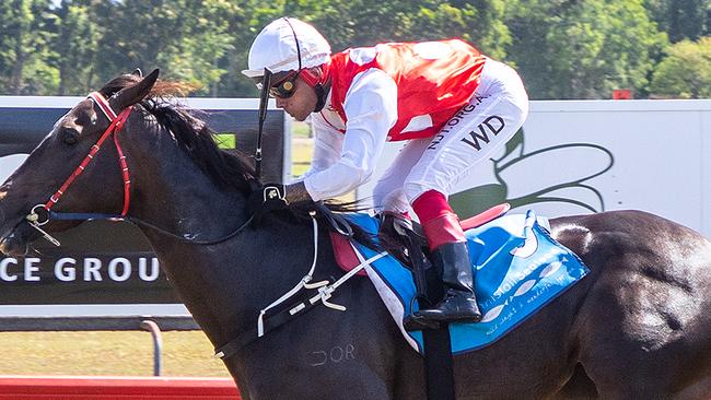 Fine 'n' Devine for trainer Rhonda Inglis and jockey Wanderson D'Avila at Innisfail Turf Club. Picture: Mike Mills.