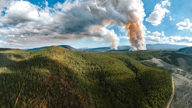 Forestry Tasmania burns behind Dover and Geeveston in the Huon Valley in April 2024. Picture: Bob Brown Foundation