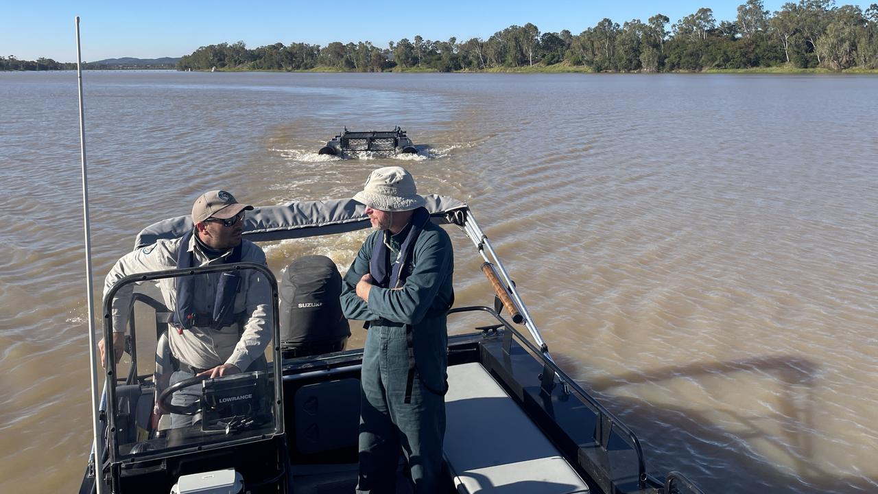 A problem crocodile has been targeted for removal from the Fitzroy River in Rockhampton.