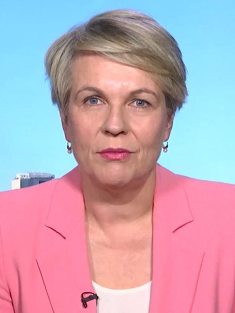 Tanya Plibersek has conceded momentum in the Yes campaign is falling.