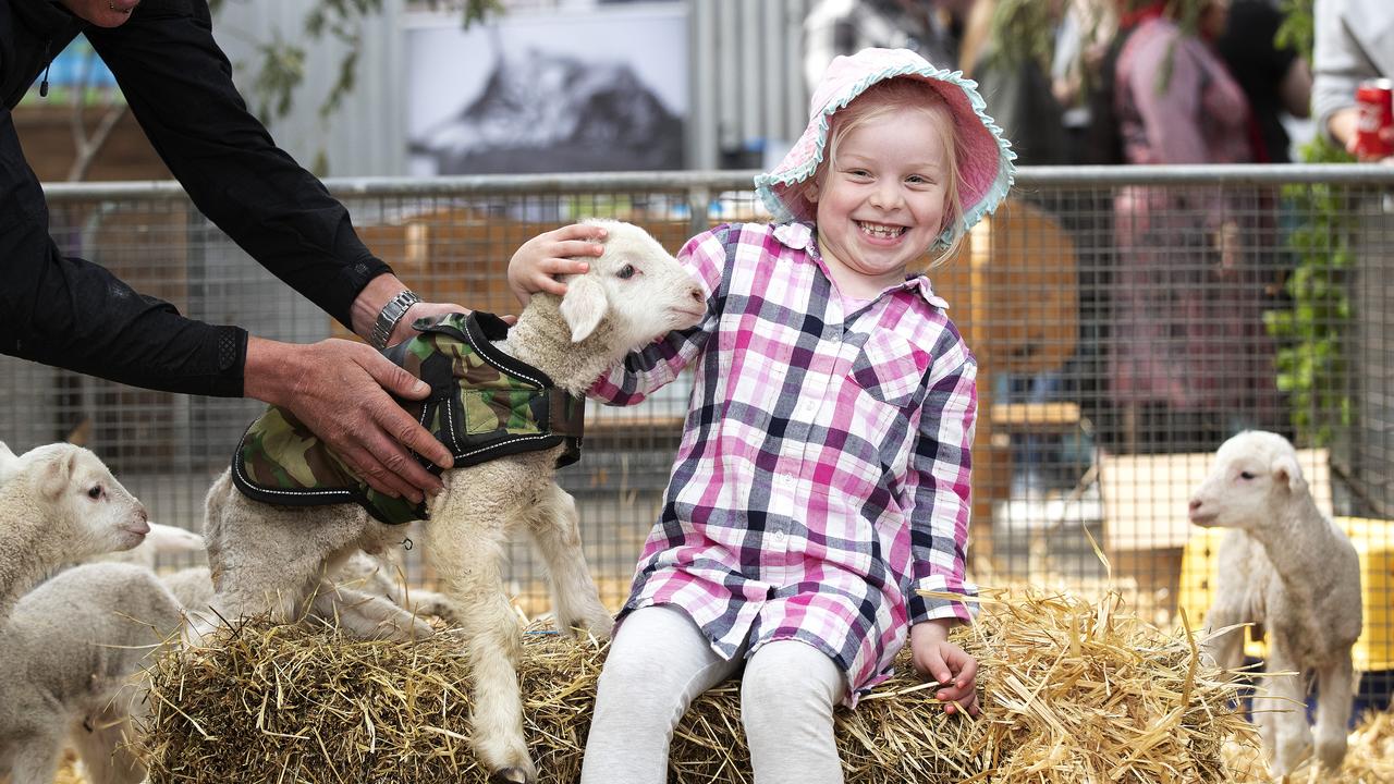 Royal Launceston Show deemed a ‘great’ success with animals stealing ...