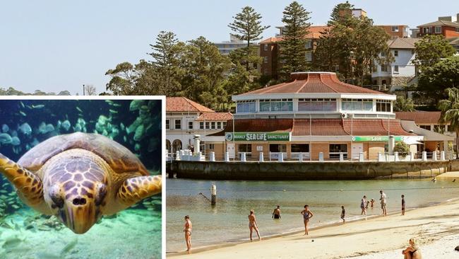 An update has been given on what could replace Manly Sea Life Sanctuary.