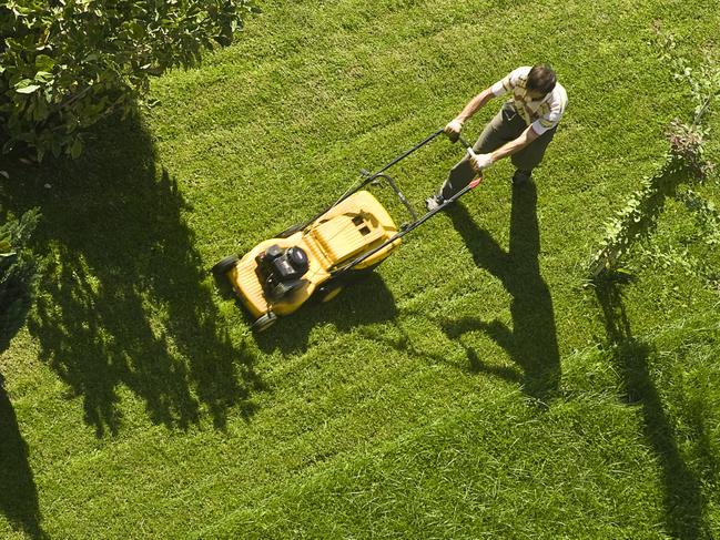 EMBARGO FOR TWAM 3 OCT 2020 FEE APPLIESMowing the lawn Pic : Getty Images