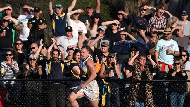 Spectators celebrate a goal in last year’s Southern league division two grand final. Picture: AAP