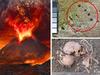 Unthinkable Pompeii find stuns the world