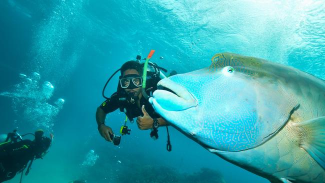 Indigenous ranger Simon Muriata is one of 16 traditional owners who started diver training this month to advance Great Barrier Reef restoration work, including crown-of-thorns starfish removal and coral health monitoring.