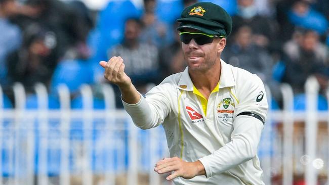 David Warner entertains the crowd with his dance moves.