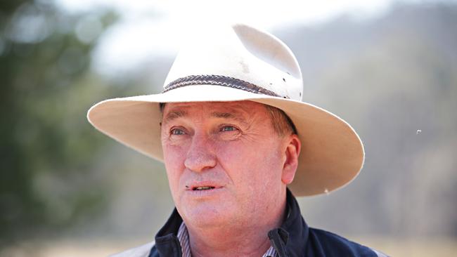 Federal MP for New England Barnaby Joyce. Picture: Adam Yip.