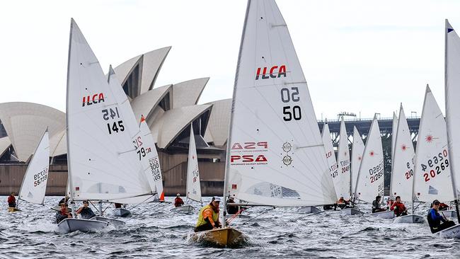 The Laser spectacular on Sydney Harbour. Pic: Aero Media/Double Bay Sailing Club