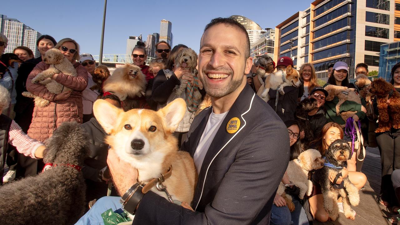 Could this pet pledge win Hakim the election — or is it barking mad?