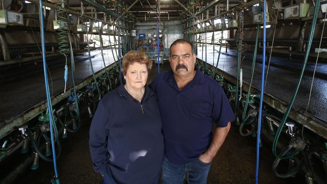 Feed fight: Vic and Debbie Guastella, of Hallora, are in a David and Goliath legal battle over claims of deadly stockfeed. Picture: Yuri Kouzmin