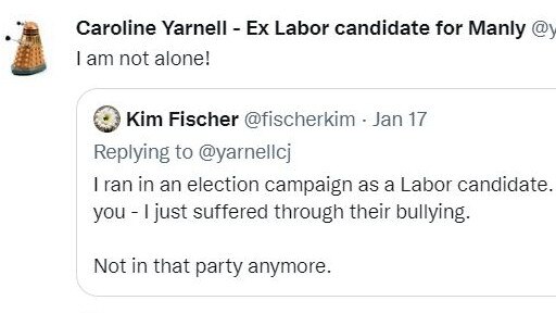 Dr Caroline Yarnell’s social media posts have raised questions about whether bullying may have been behind her shock decision to withdraw as the ALP candidate for Manly.