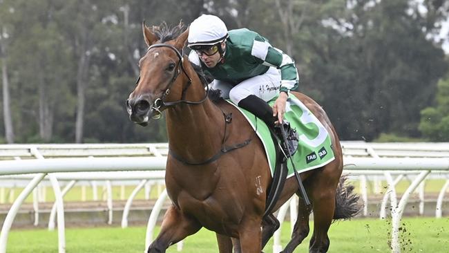 Clean Energy, a $2.6m full sister to Sunlight, made a winning debut at Warwick Farm on Wednesday. Picture: Bradley Photos