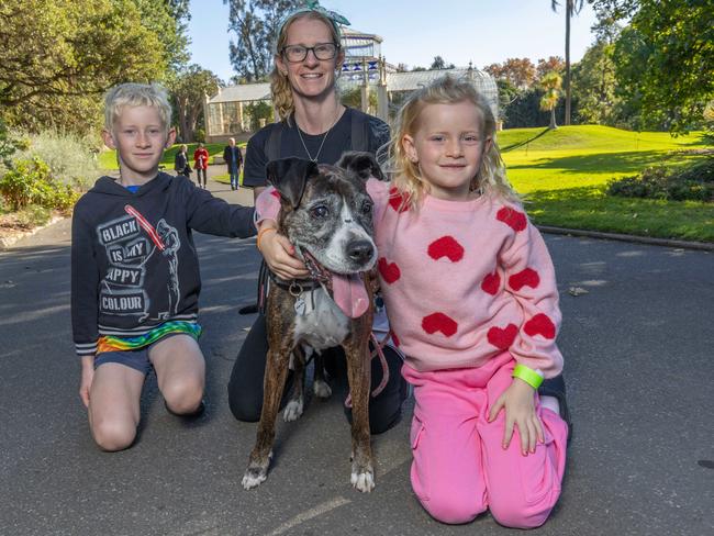 RSPCA SA's Million Paws Walk in Adelaide on May 25, 2025. Picture: Ben Clark