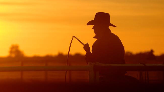 Prized holding: Australian Agricultural Company’s Brunette Downs Station in the Northern Territory.