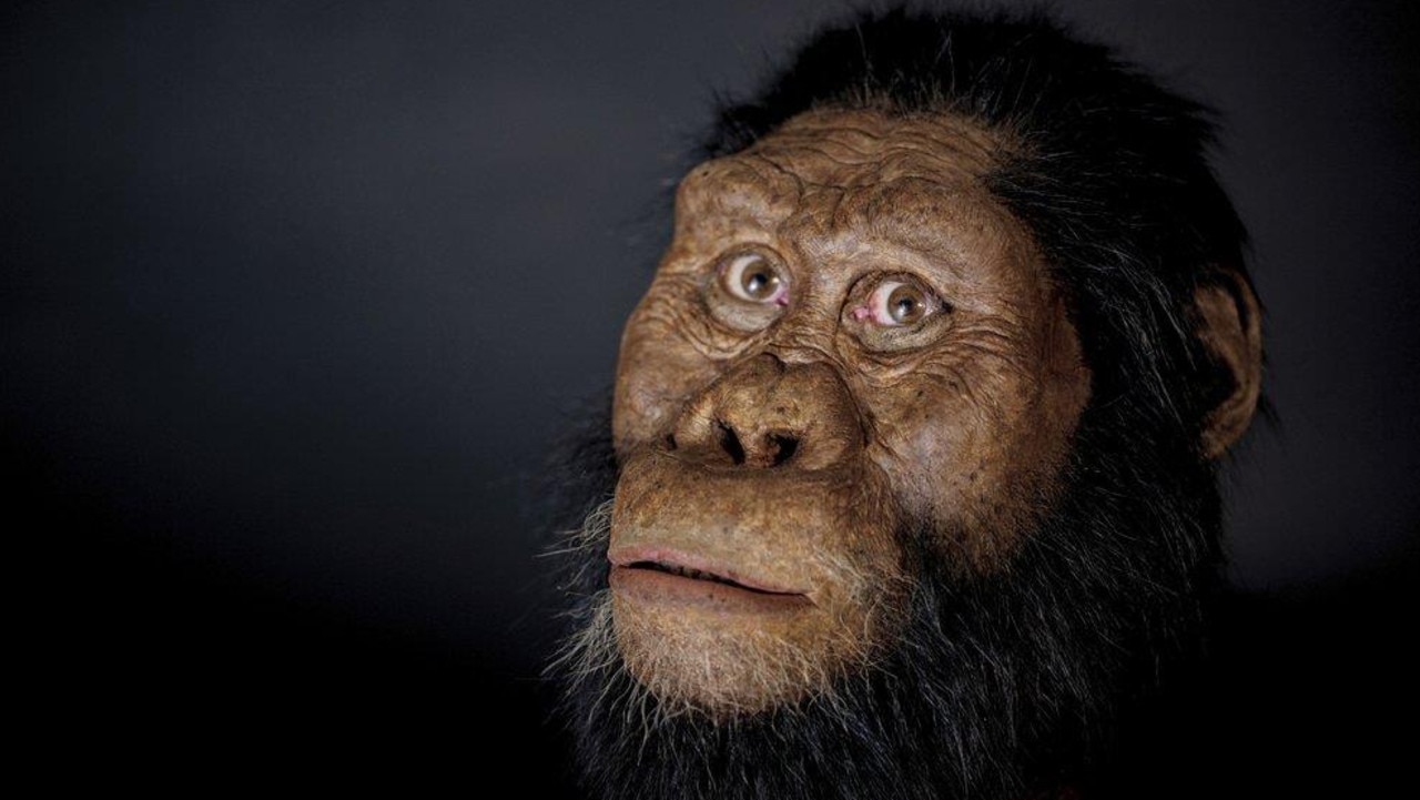 Facial reconstruction of fossilised skull of Lucy’s ancestor | KidsNews