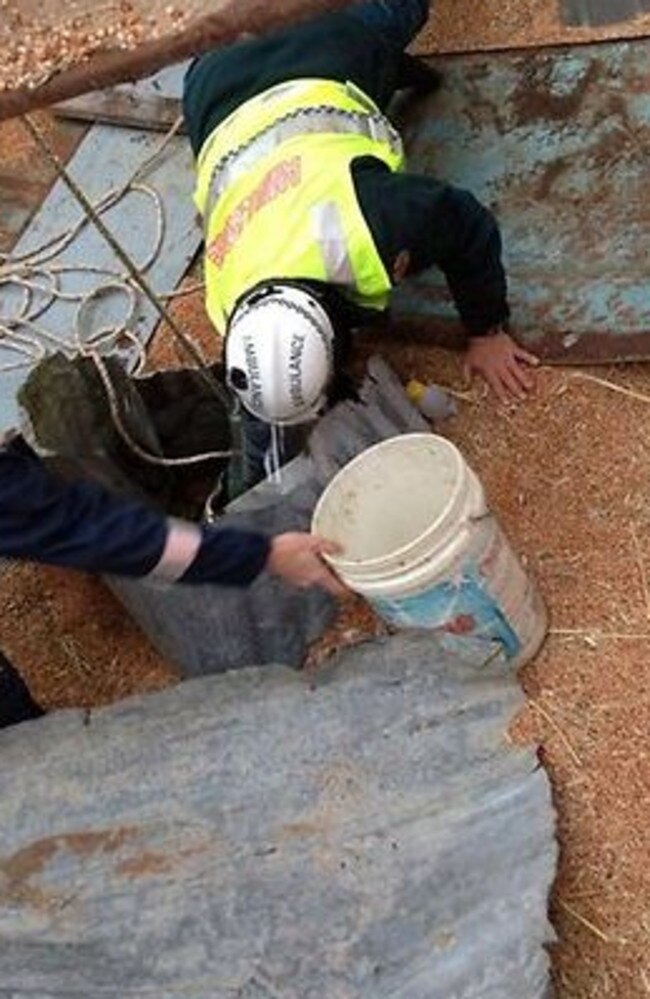 Rescuers digging out the grain. Courtesy RACQ CareFlight Rescue