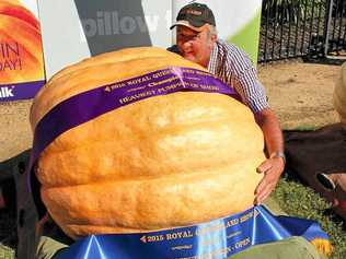 MOTHER OF PUMPKINS: Geoff Frohloff with his grand champion entry.