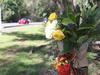 ‘Unimaginable pain’: Family’s grief over loss of beloved son