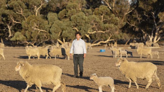 Merino sheep producer, Steven Bolt, on his farm in Corrigin where his lambs are destined for the live export market.