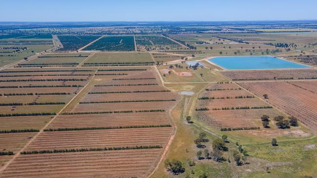 GO. FARM have purchased the 2666ha Dellapool Aggregation, near Narrandera in the NSW Riverina.