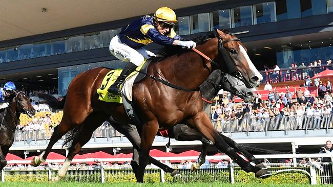 Blake Shinn guides Bittercreek to victory in the Group 2 Spirit Of Boom Classic. Picture: Grant Peters / Trackside Photography