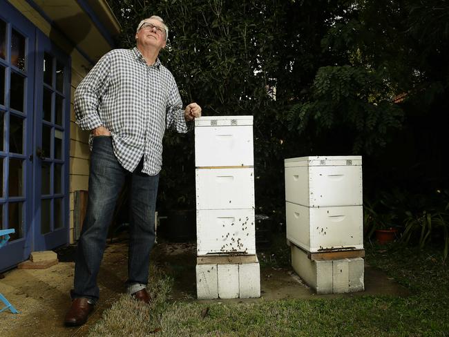 The bees are still pretty happy. Residents are not.