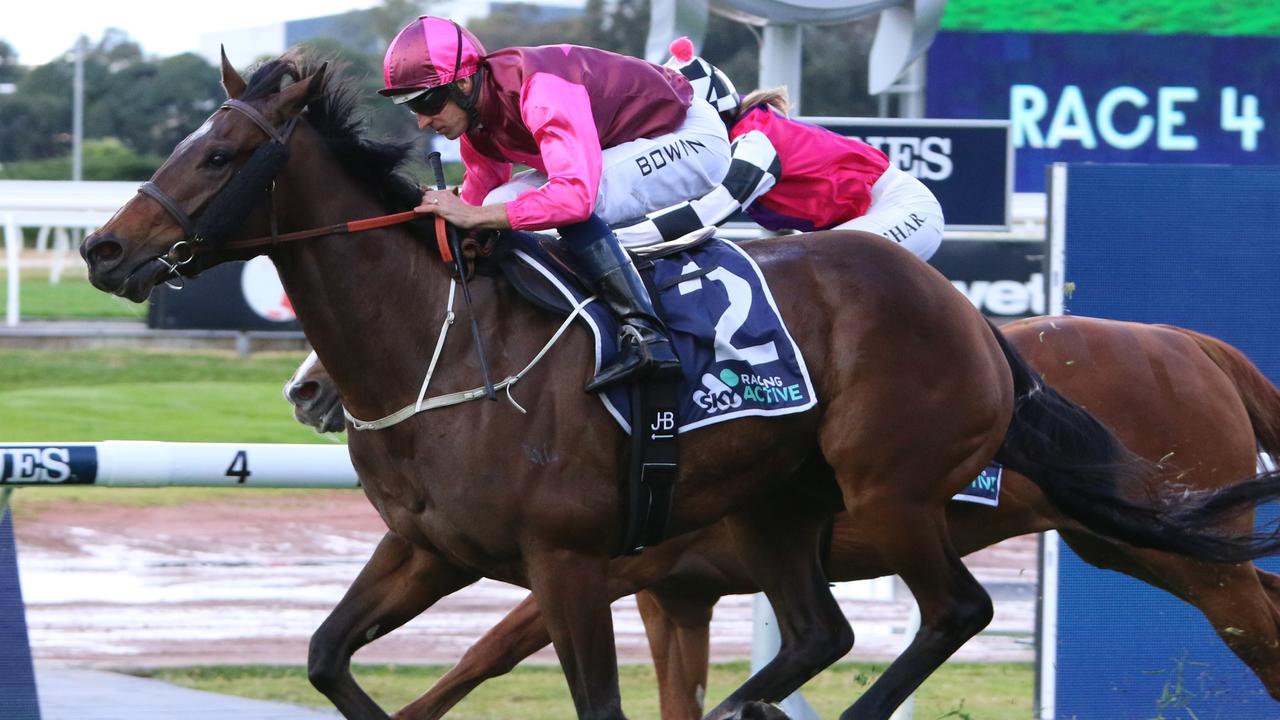 Robert and Luke Price were happy with the first-up run on Noble Soldier and feel he can run well at Rosehill on Saturday. Picture: Grant Guy